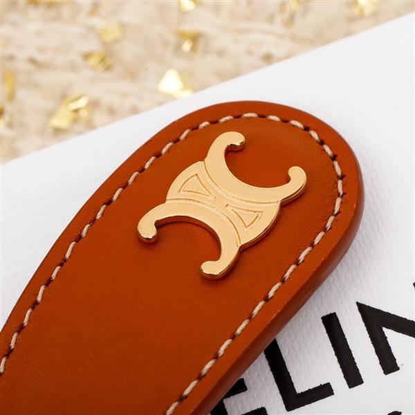 2024210155817867 100